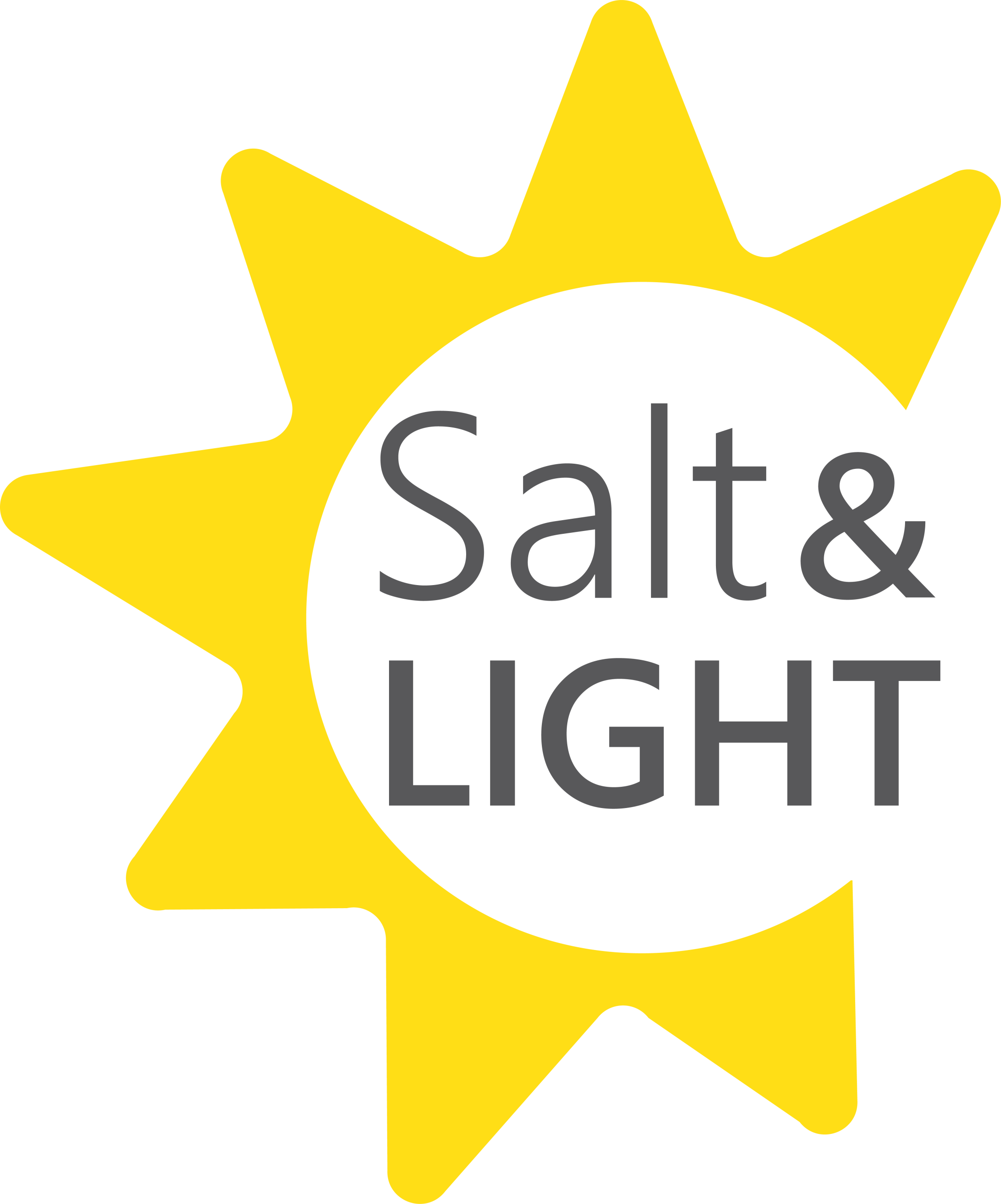 Salt and Light Logo