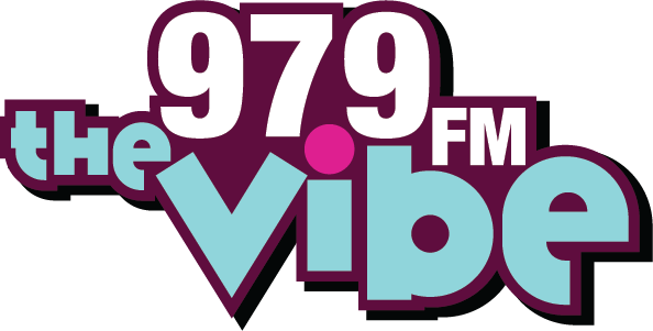The vibe logo